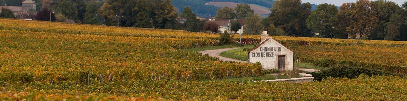Chambertin-Clos de Bèze