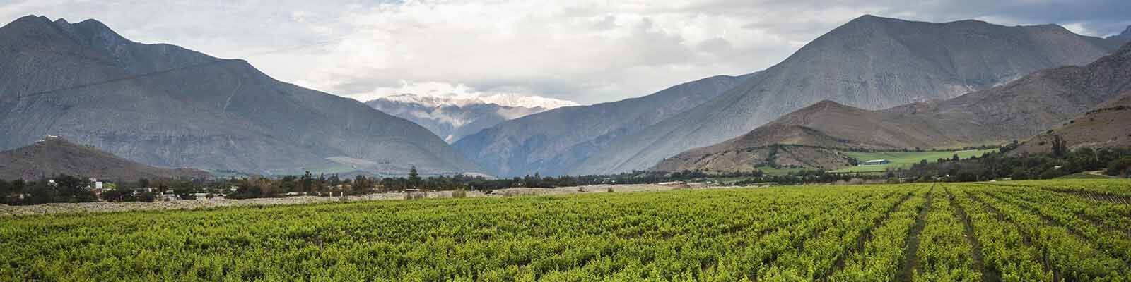 Our collection of Chile - Find this at Onshore Cellars your yacht wine supplier