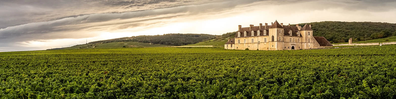 Clos de Vougeot