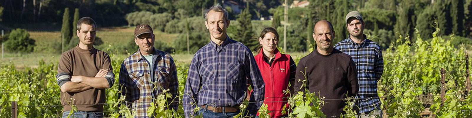 Domaine de Terrebrune