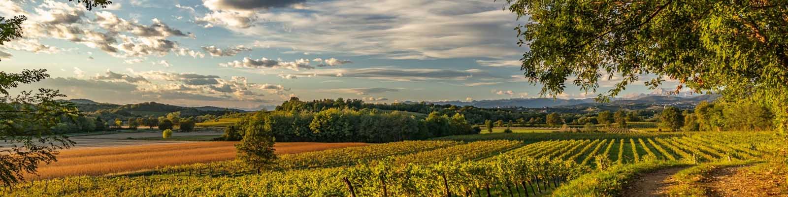 Friuli-Venezia Giulia