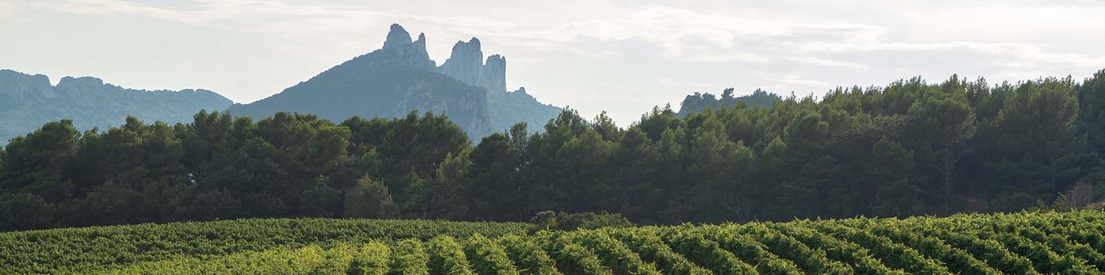 Gigondas