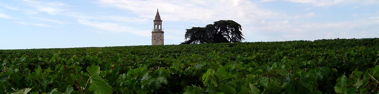 Haut-Médoc