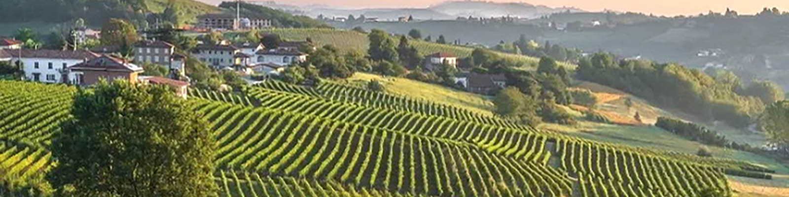 Langhe DOC
