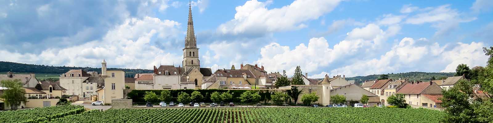 A scenic view of a small town with a prominent church spire, surrounded by lush green vineyards and a blue sky with fluffy clouds.