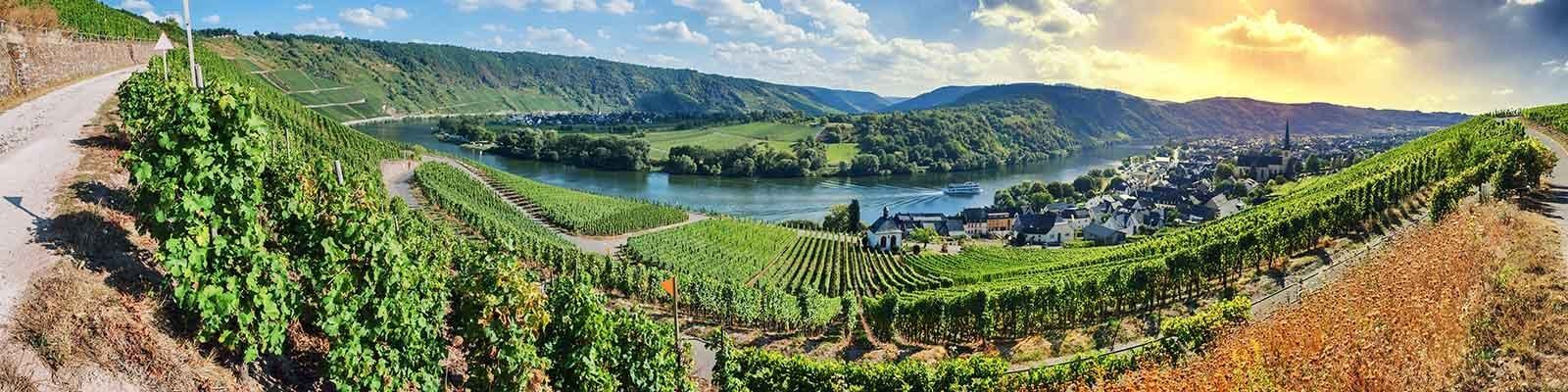 Our collection of Mosel - Find this at Onshore Cellars your yacht wine supplier