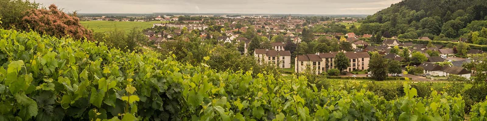 Nuits-Saint-Georges