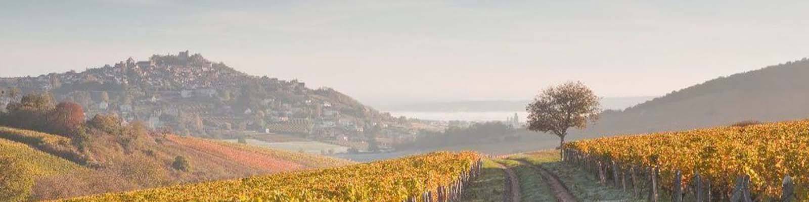 Pouilly-Fumé