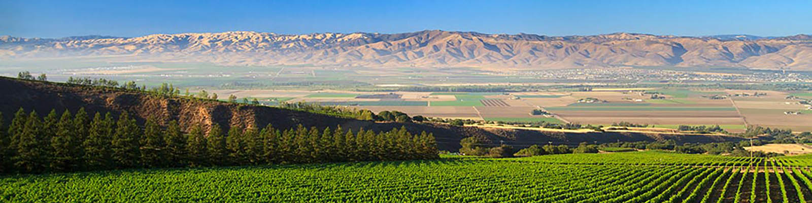 Russian River Valley