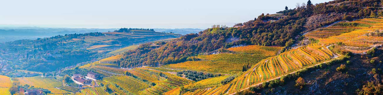 Valpolicella DOC