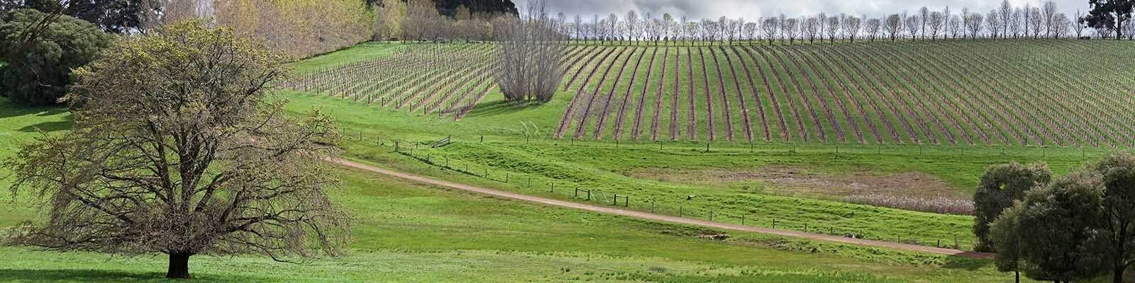 Our collection of Western Australia - Find this at Onshore Cellars your yacht wine supplier