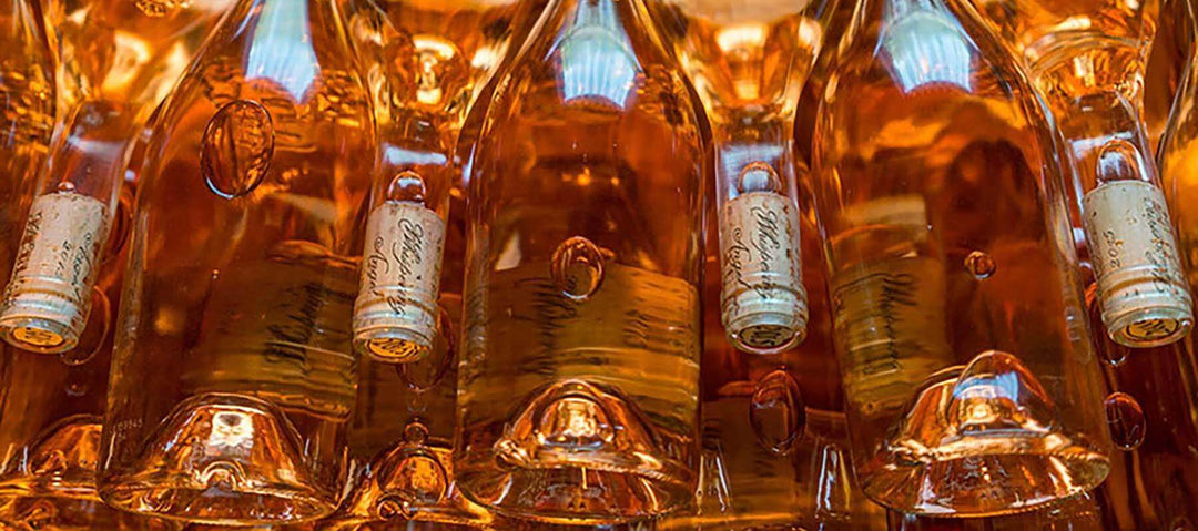 Rosé, Bandol & the Provence Deep-Cut: Our 5,289-Bottle Season