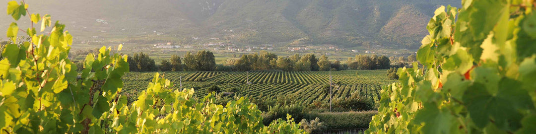 Campania