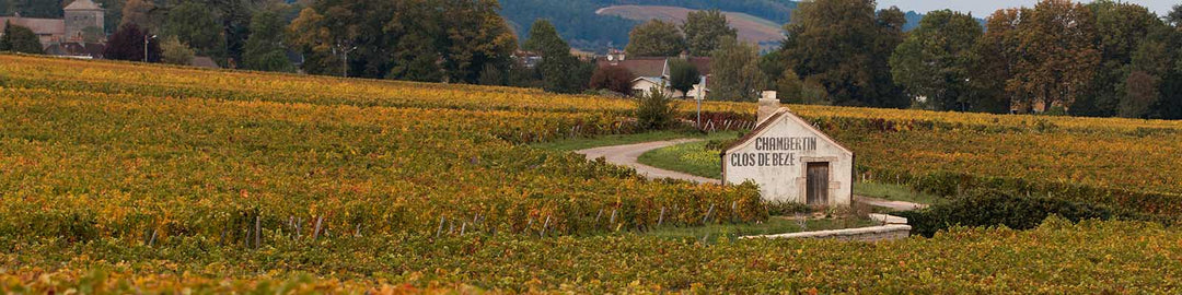 Chambertin-Clos de Bèze