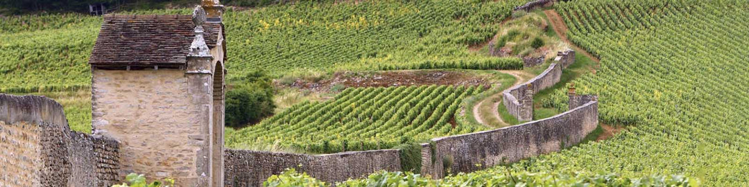 Charmes-Chambertin