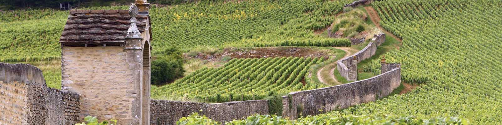 Charmes-Chambertin
