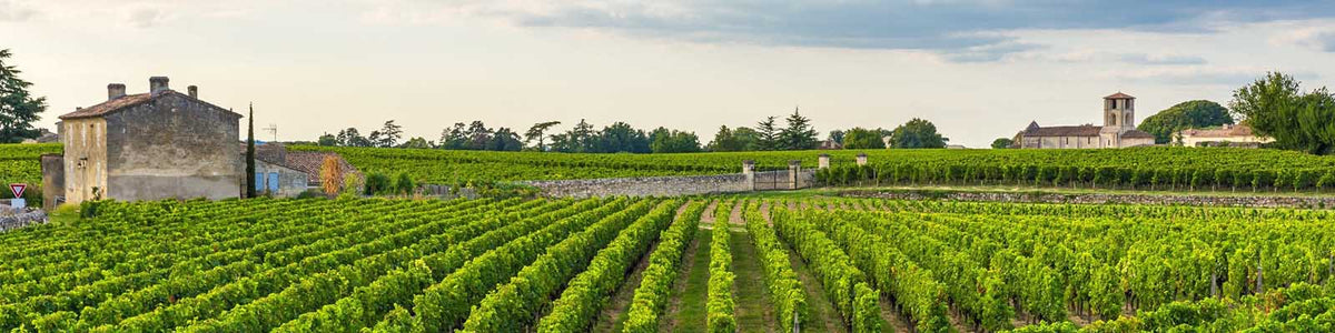 Château Haut Plantey