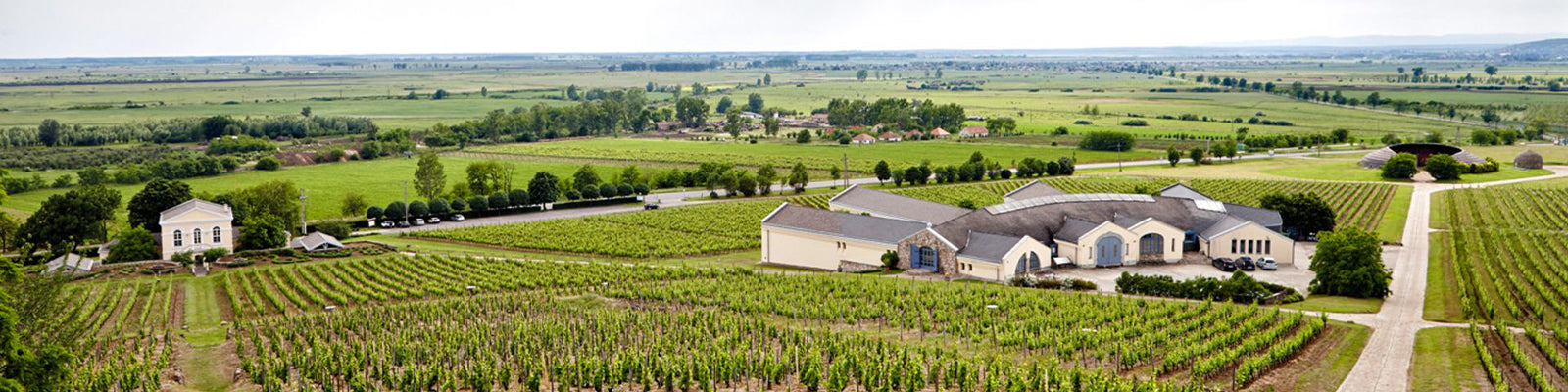 Disznoko Winery