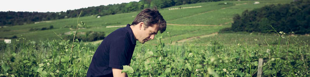 Domaine Arlaud