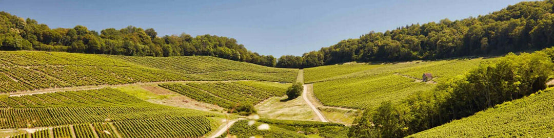 Domaine Billaud Simon