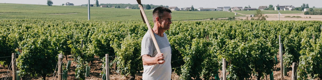 Domaine Chauveau