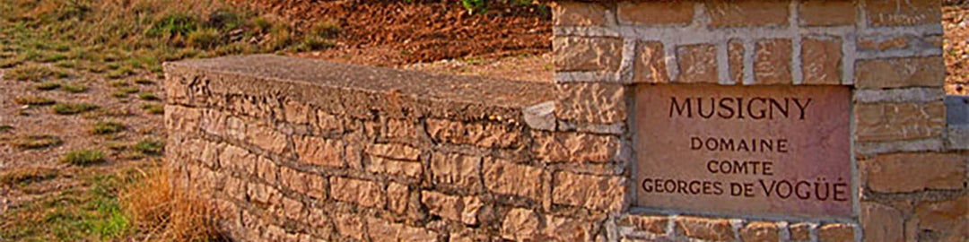 Domaine Comte Georges de Vogüé