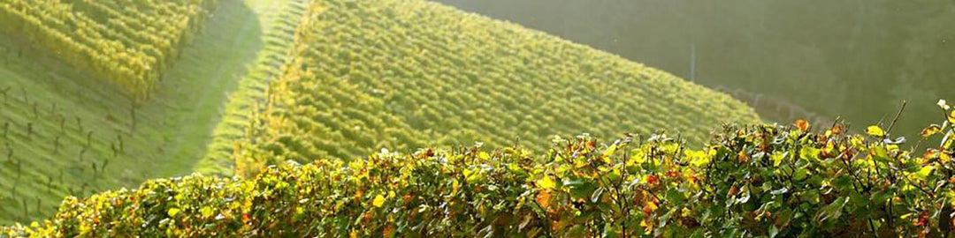 Domaine Leroy