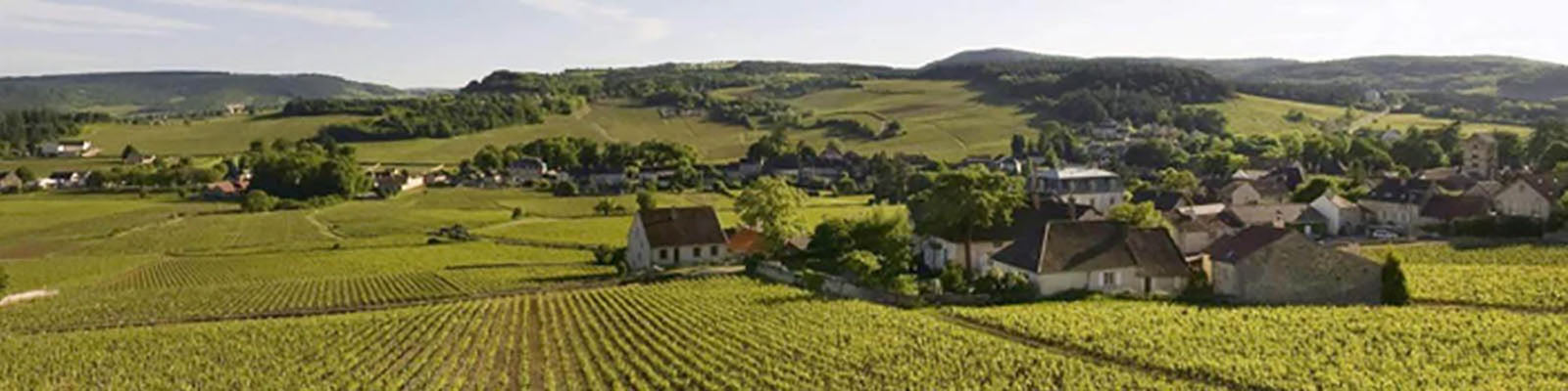 Domaine Tremeaux