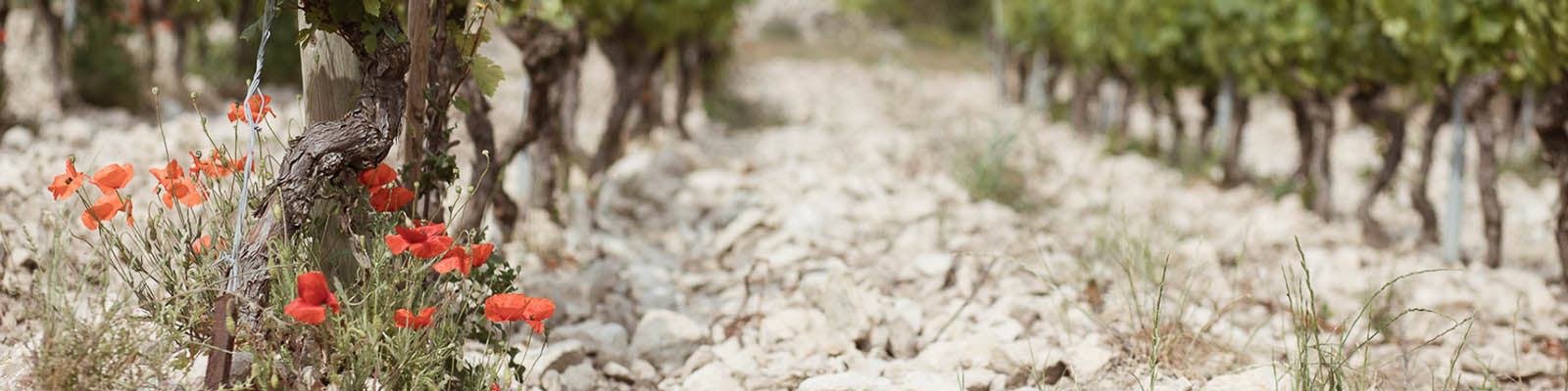 Domaine De Trevallon