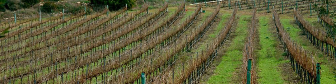 Ella Valley Winery