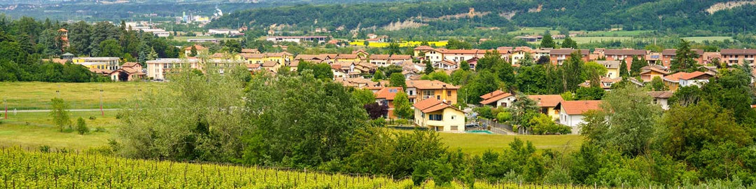Gavi DOCG