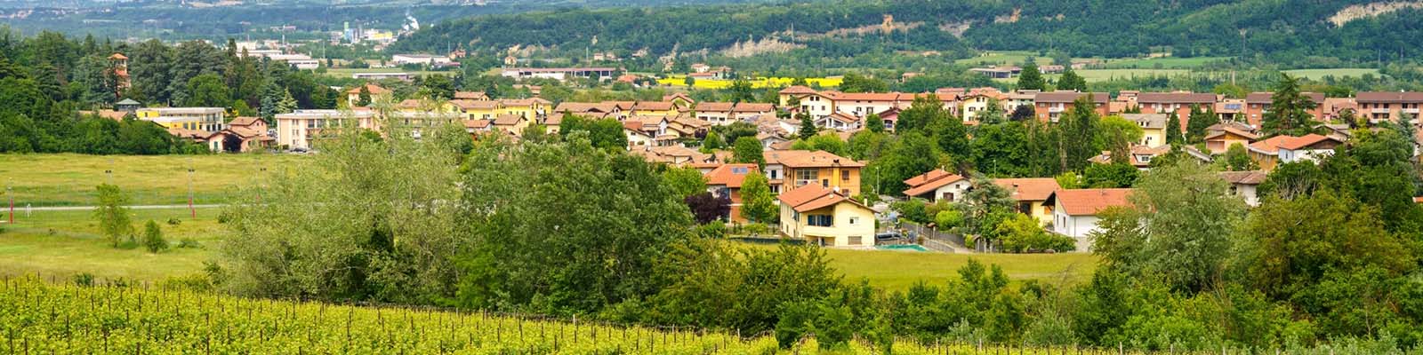 Gavi DOCG