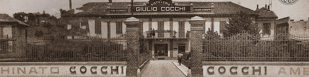 Cocchi