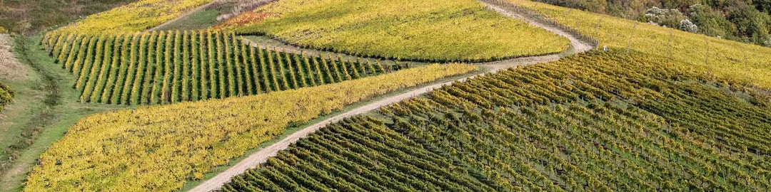 Greco di Tufo DOCG