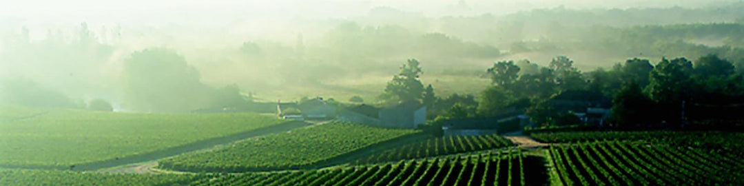 Lalande-de-Pomerol