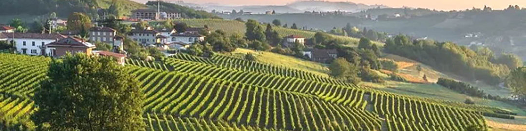 Langhe DOC