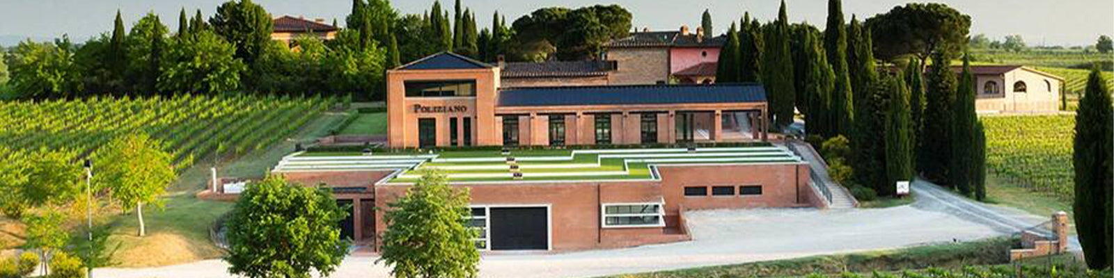 Poliziano Asinone