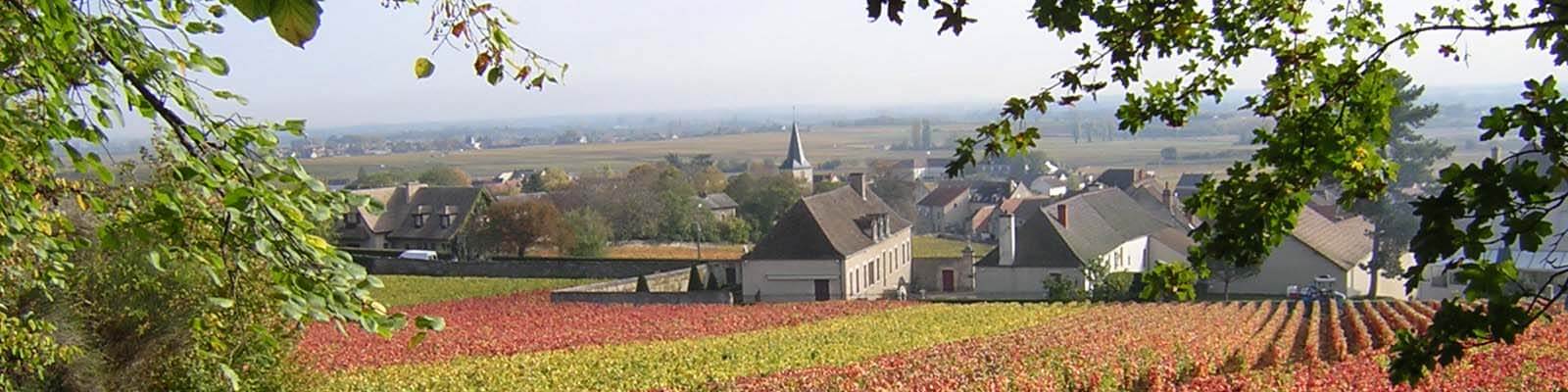 Puligny-Montrachet