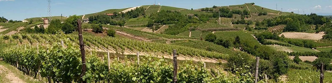 Roero DOCG