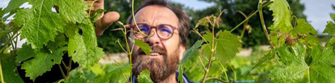 Thierry Germain