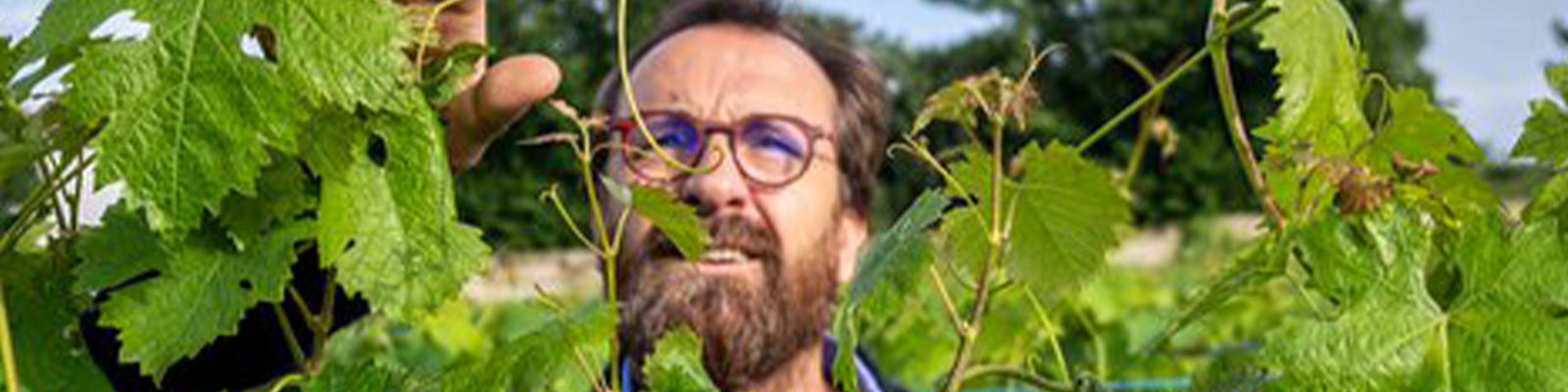 Thierry Germain