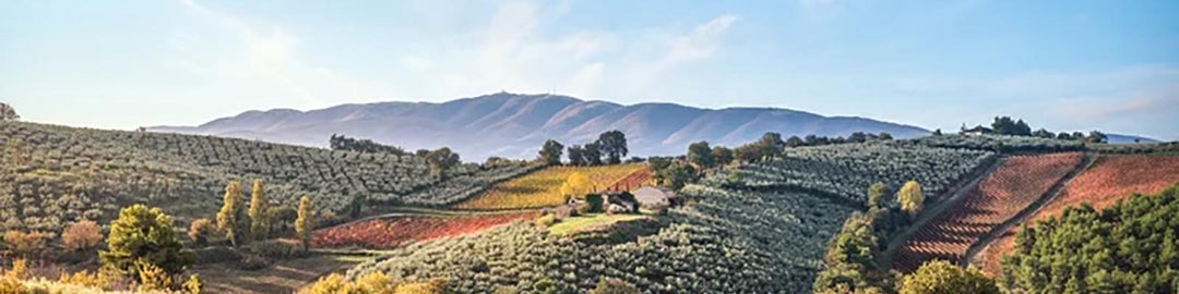 Umbria IGT