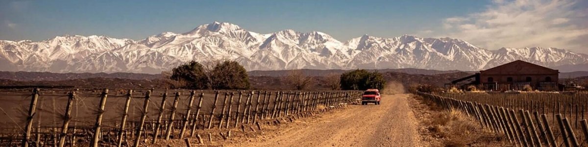 Altos Las Hormigas - Onshore Cellars