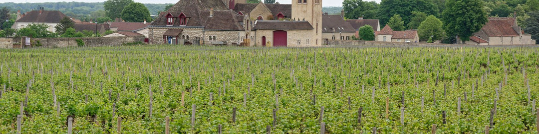 Chablis