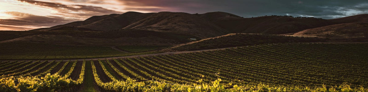 Santa Rita Hills