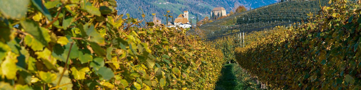 Austria - White wine