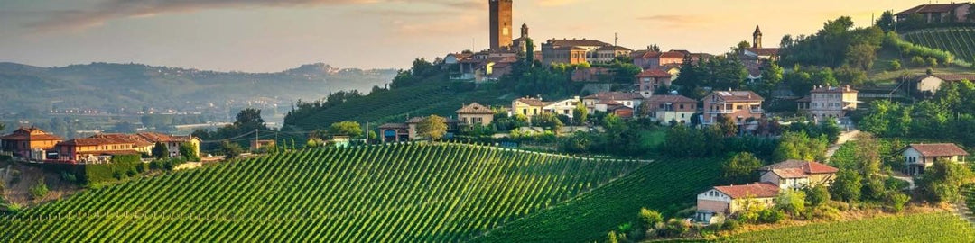 Barbaresco DOCG - Onshore Cellars