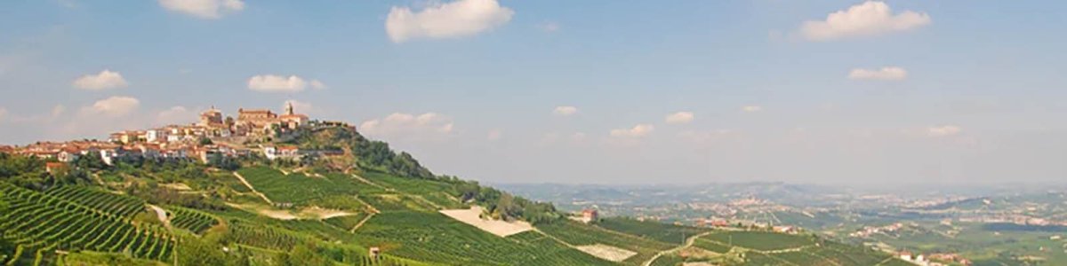 Barbera d’Alba DOC - Onshore Cellars