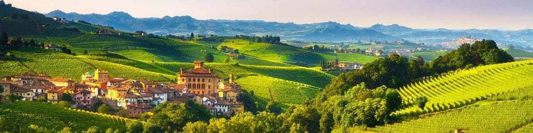 Barolo DOCG - Onshore Cellars
