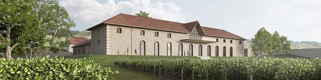 Barons de Rothschild - Onshore Cellars